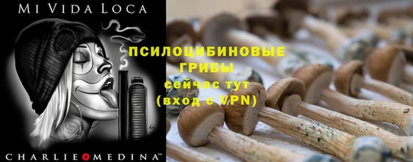 стафф Куйбышев